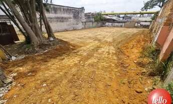 Imagem 5: São Paulo - Terreno Padrão - Ipiranga