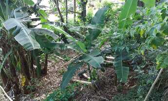 Imagem 3: Ótima oportunidade para investimento!