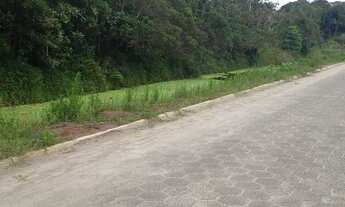 Imagem 4: Terreno lado serra, próximo a rodovia com escritura