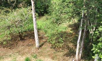 Imagem 7: Belo terreno no bairro Laranjeiras - Bananal - SP