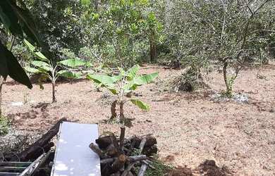Imagem 7: Chácara vila oneida Coxipo do ouro