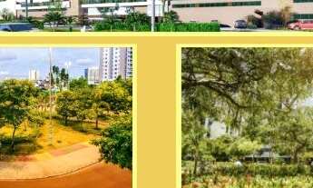 Imagem 1: Reserva Alameda, more no Alameda das Árvores