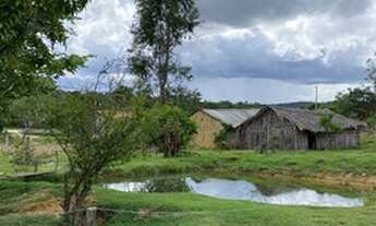 Imagem 2: Fazenda próximo a São Valério Tocantins