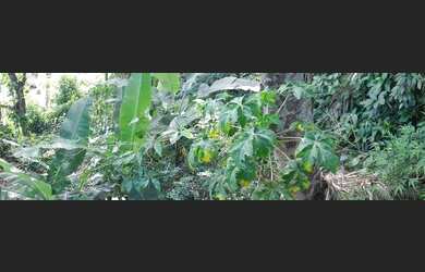 Imagem 4: Ótima oportunidade para investimento!