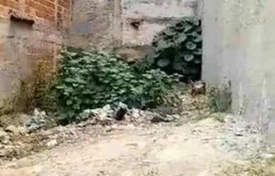 Imagem 4: Terreno 52m² Terreno / lote com venda por R$75.000