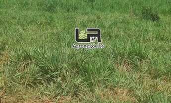 Imagem 7: Chacara de 11 Alqueires em Caldazinha