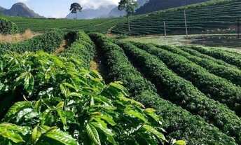 Imagem 4: Fazenda a venda Fazenda / sítio com venda por R$850.000