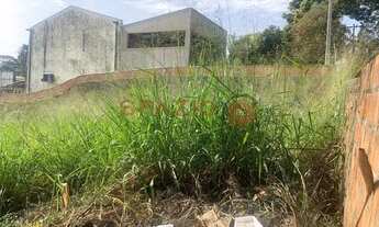 Imagem 5: Terreno - Nova Campinas - Campinas