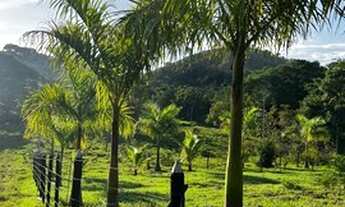 Imagem 3: Granja Goianá Chácara com venda por R$129.000