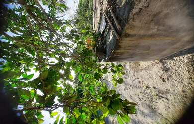 Imagem 7: Vende-se Sítio em Serrinha-ba