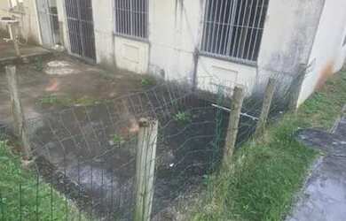 Imagem 6: Alugo apartamento térreo 2/4