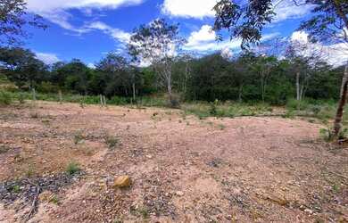 Imagem 7: Chácara em Anápolis 10 mil de entrada 16 km do daia