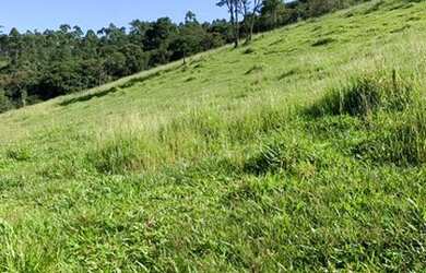 Imagem 3: VC - Vendo Terreno com ótimo solo