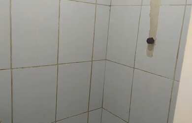 Imagem 6: Casa para alugar