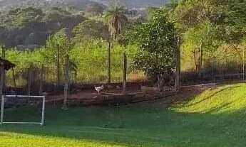 Imagem 6: Sítio com 8.000m² à Venda no Povoado de Vieiras em Itatiaiuçu