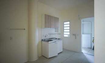 Imagem 5: Apartamento 1 quarto para aluguel Pelotas