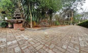 Imagem 6: A venda Chácara em Nova Veneza 5.000m² Ribeirão da Cachoeira 2 ETAPA