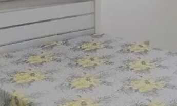 Imagem 3: Alugo apartamento mobiliado no bairro sim