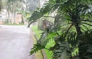 Imagem 2: Terreno à venda em Roseira - SP