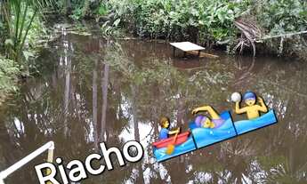 Imagem 6: LINDA CHÁCARA Chácara com venda por R$230.000