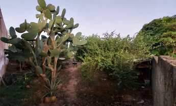 Imagem 6: Terreno em Americana