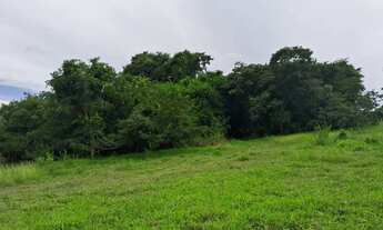 Imagem: CHACARA VARJÃO DE GOIAS Chácara à Venda