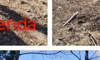 Imagem: Terreno disponível a venda