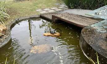 Imagem 2: Venda terreno em Pendotiba