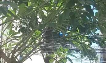 Imagem 2: Apartamento 2 Andar Condomínio Incluso