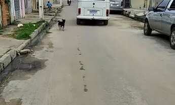 Imagem 4: Vendo casa parte de cima