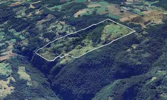 Imagem: Área Rural com 50ha