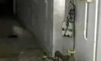 Imagem 7: PRÉDIO - TATUAPÉ - SP