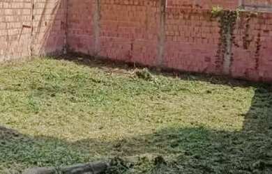 Imagem 2: Terreno 8x25 30 mil