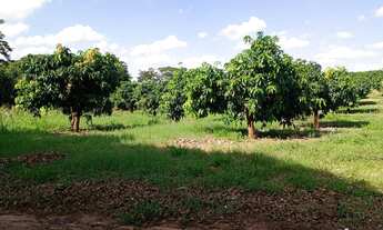 Imagem 3: Vende se sítio Chácara com venda por R$4.000.000