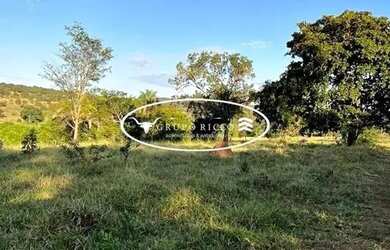 Imagem 5: Fazenda de Oportunidade à Venda em Iporá-GO | 38 Alqueires