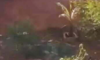 Imagem 2: Chácara no Vale Verde com 6.000m² na Beira Da PISTA DF-128 Antes da CPRV