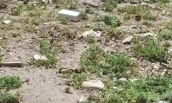 Imagem 5: Vende-se Terreno na Ilha da Croa, praticamente à beira Mar