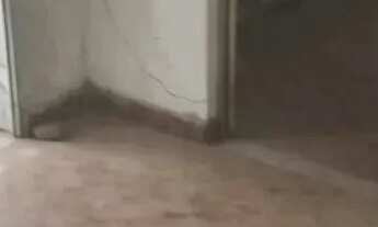 Imagem 4: BOA CASA TIPO APARTAMENTO BEM LOCALIZADA!