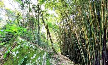 Imagem 3: Sítio / Chácara para Venda em Nova Petrópolis, Linha Riachuelo