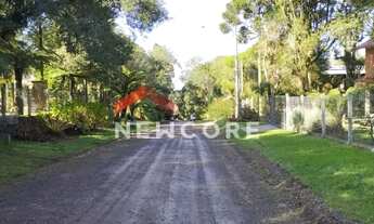 Imagem 2: Lote em Rua São Gotardo - São Bernardo - São Francisco de Paula/RS