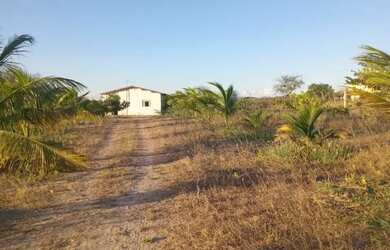 Imagem: Vendo ou troco casa com 12 tarefas de terra