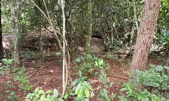 Imagem 2: Escolha sua terra na beira do Rio Dourados em Hidrolândia - oportunidade de ouro