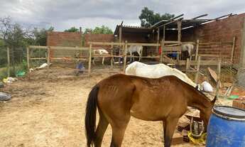 Imagem 6: Lote em Esmeralda