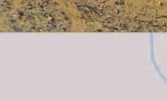 Imagem 3: Terreno jardim colina monte mor