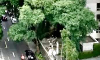 Imagem 6: Salas para locação e venda no coracão dos jardins