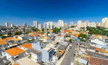 Imagem 4: Apartamento à Venda - Vila Mascote, 1 Quarto, 34 m2