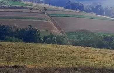 Imagem 3: Aqui ele encontra o lugar ideal