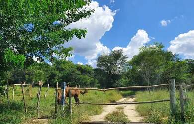 Imagem 3: Vendo Terrenos de 20.000m2 em Região de Muita Água Perto de Sete Lagoas