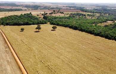 Imagem 5: 2 alqueires 50 km de Goiânia 40% formado 60% mata nativa