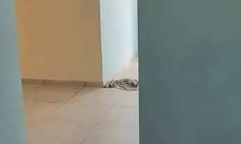 Imagem 4: Casa à venda em rua pública, RIO DOCE, Olinda, PE